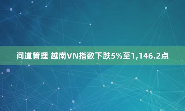 问道管理 越南VN指数下跌5%至1,146.2点