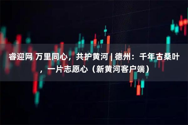 睿迎网 万里同心，共护黄河 | 德州：千年古桑叶，一片志愿心（新黄河客户端）