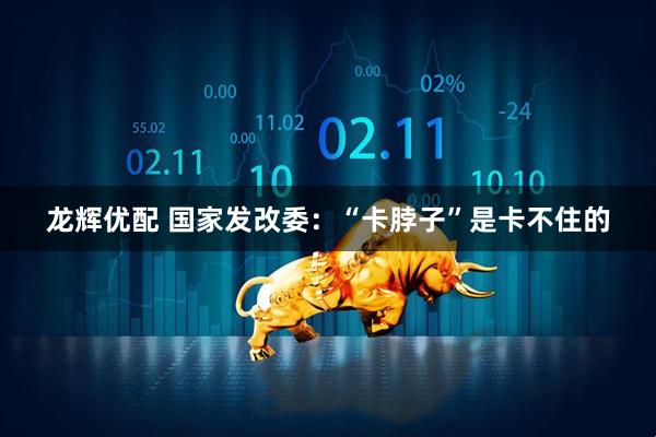龙辉优配 国家发改委：“卡脖子”是卡不住的