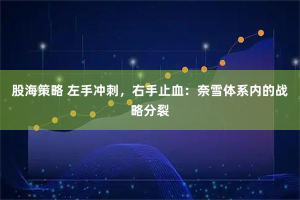 股海策略 左手冲刺，右手止血：奈雪体系内的战略分裂